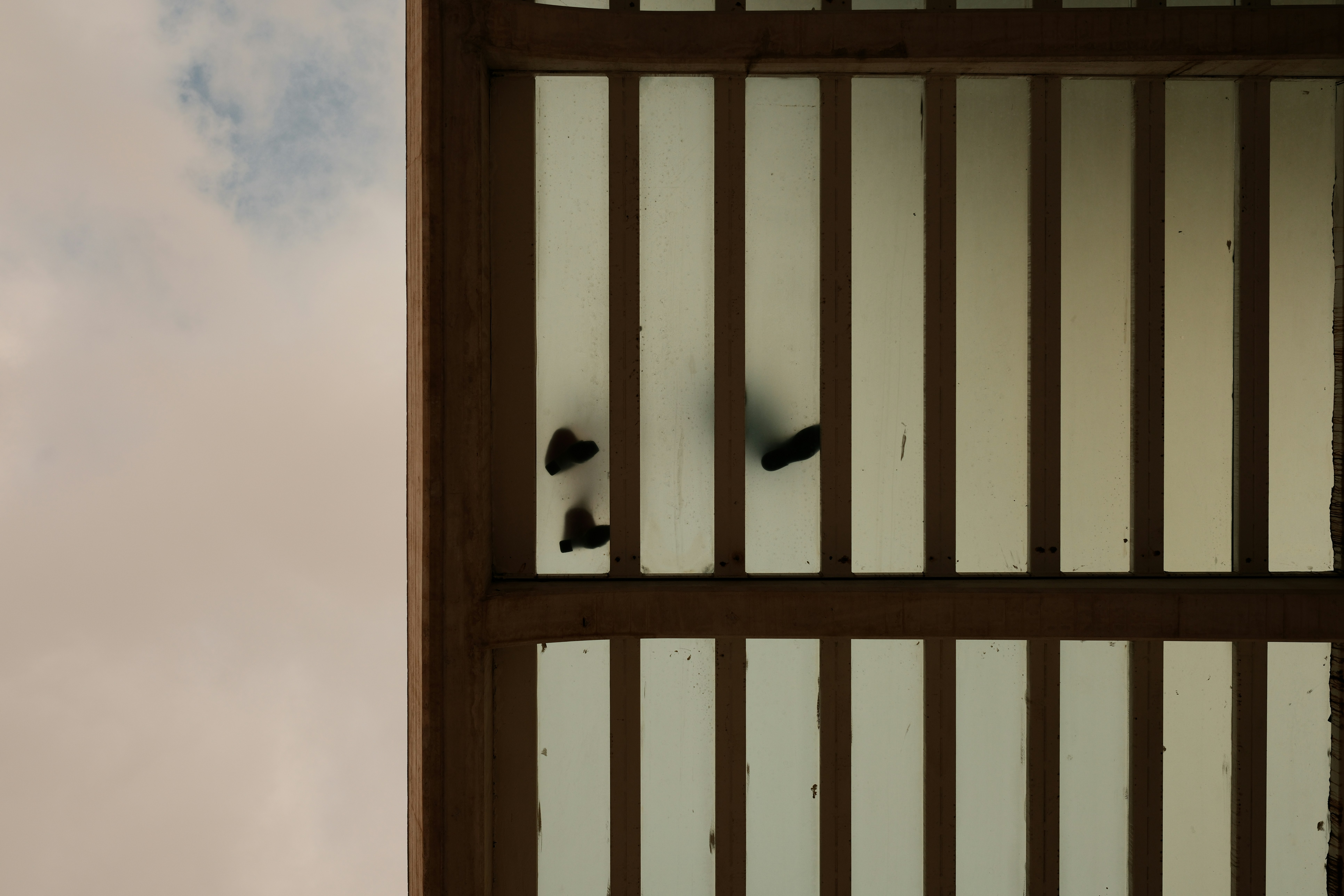 A bird is perched on the bars of a window